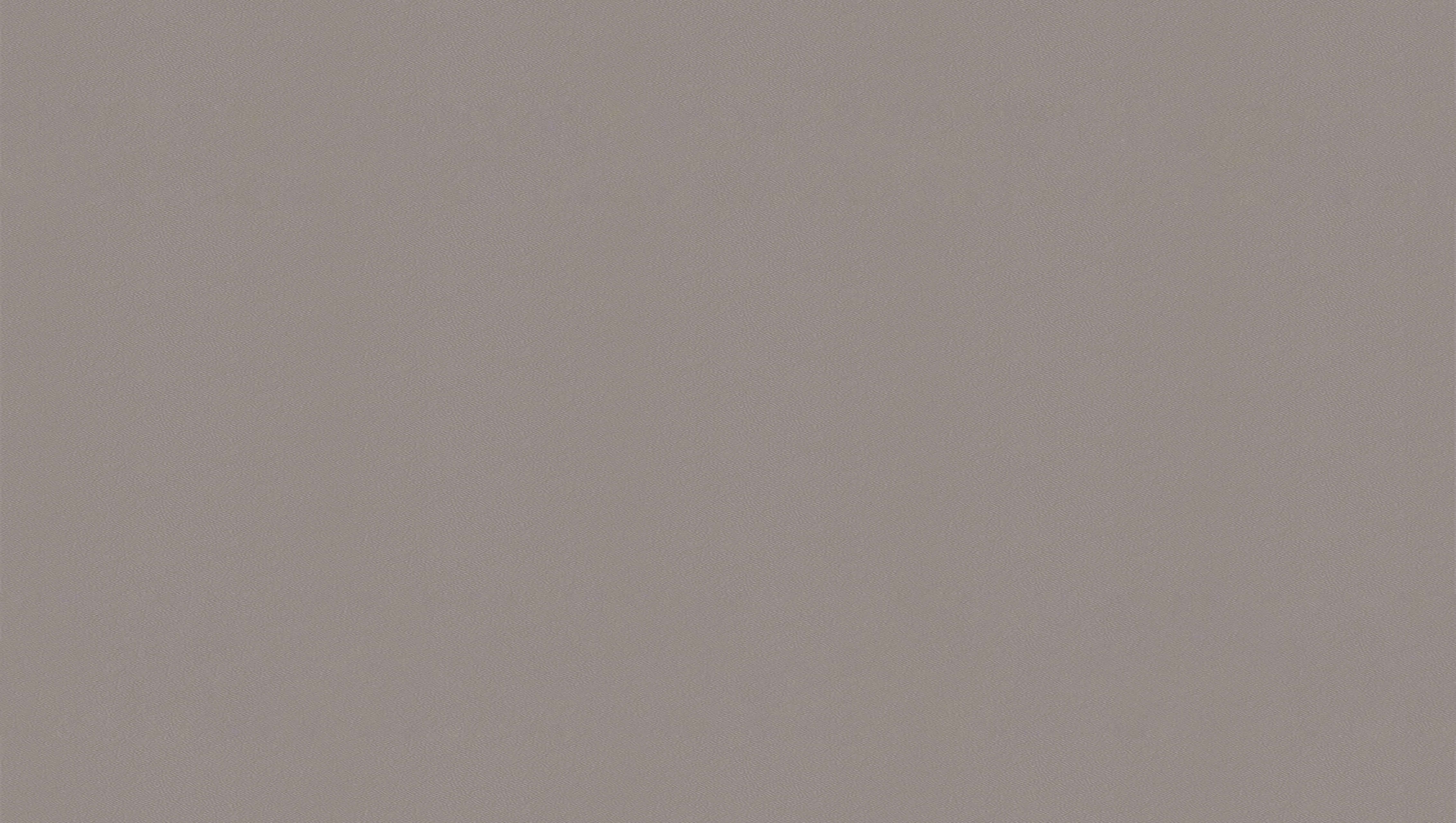 鼴鼠灰