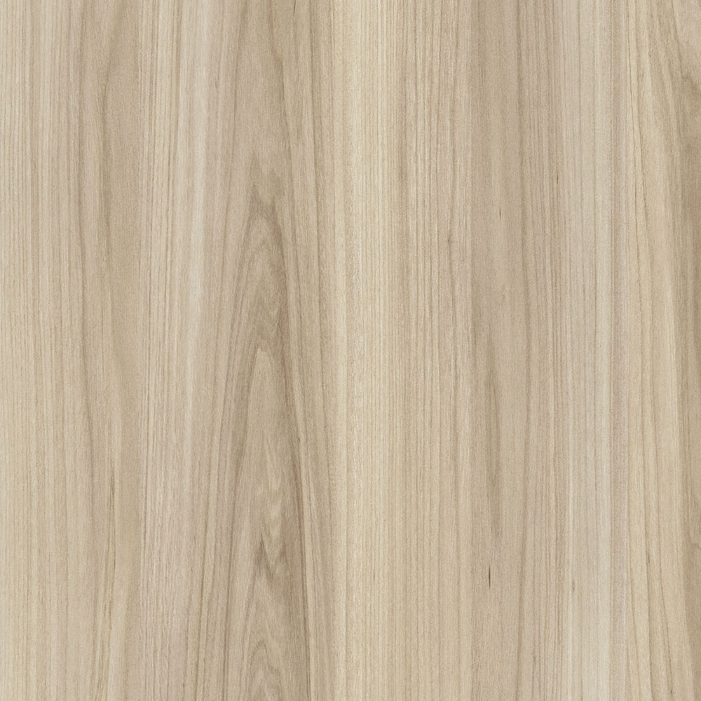 WS941-1