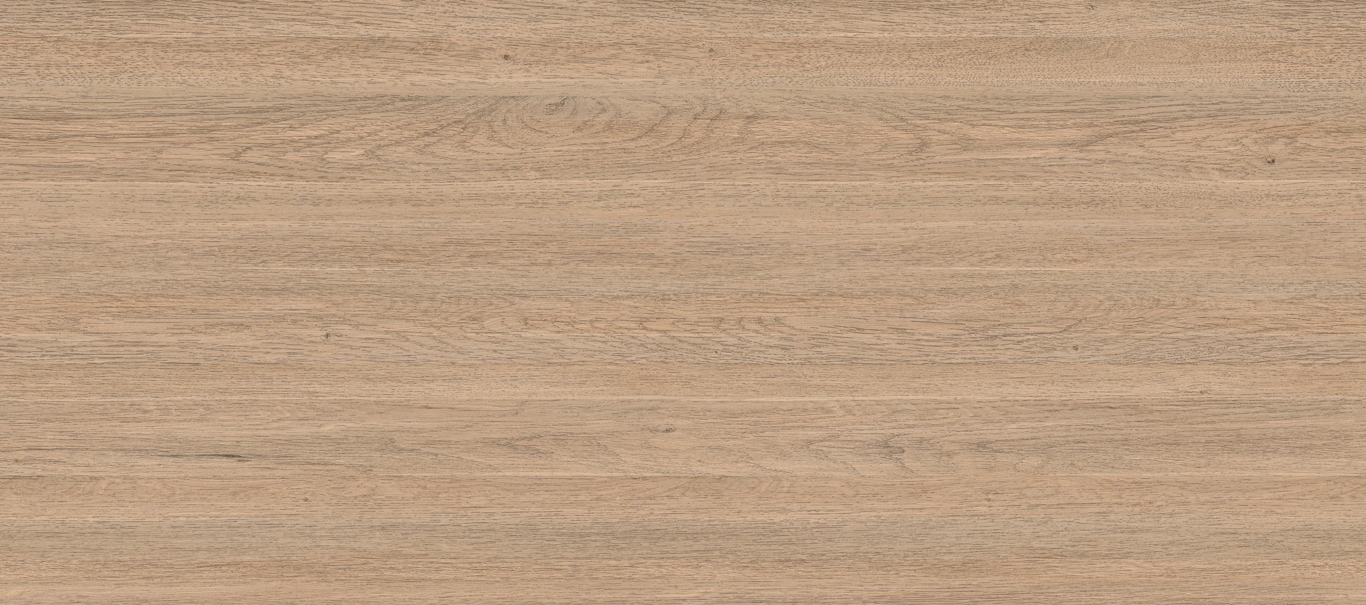 原野橡木