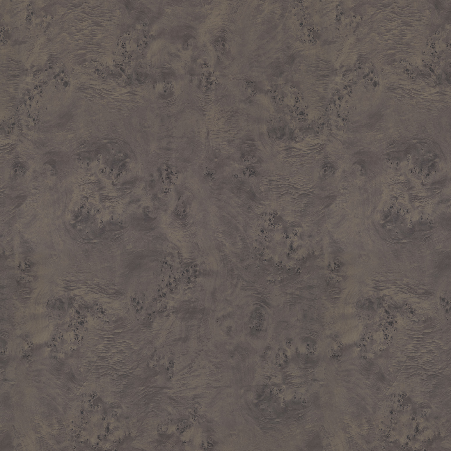 羽影雀眼